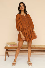 True Passions Dress Brown