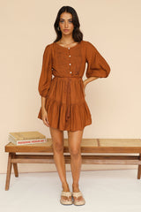 True Passions Dress Brown
